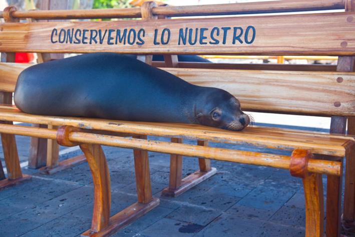Casa Playa Los Marinos Puerto Baquerizo Moreno Εξωτερικό φωτογραφία