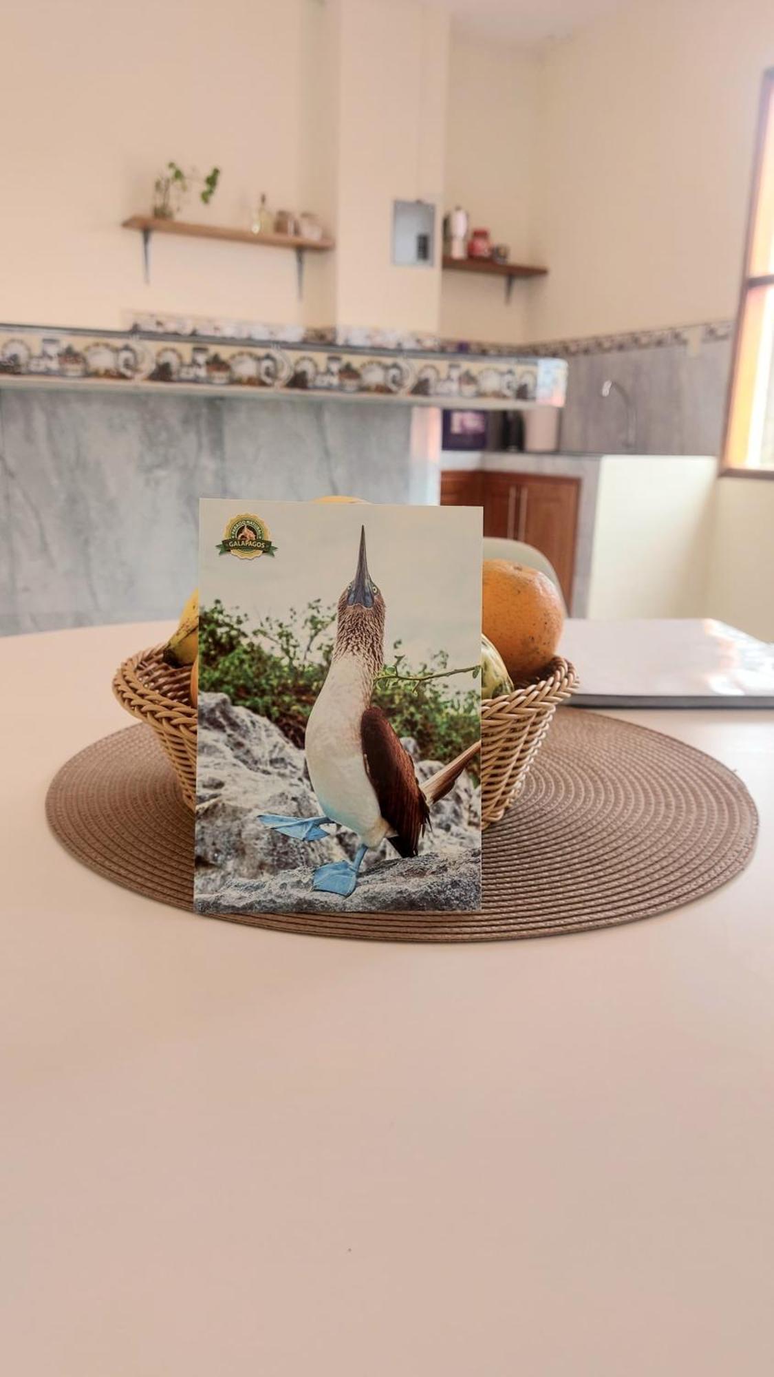 Casa Playa Los Marinos Puerto Baquerizo Moreno Εξωτερικό φωτογραφία
